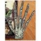 Skeleton Hand Bones MDF Wood Shape